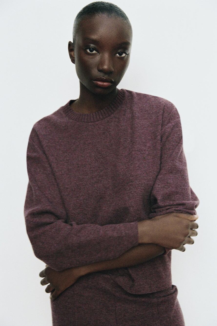Zara Women's Purple Soft Knit Crew Neck Long Sleeve Top Size Medium